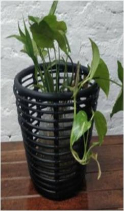 Picture of AIRY CANE PLANTER/ STORAGE BIN